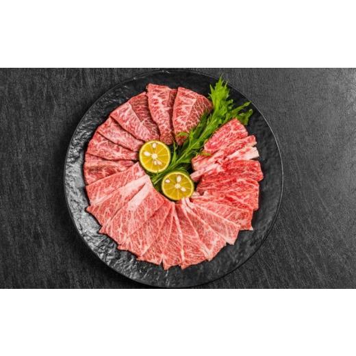 ふるさと納税 静岡県 掛川市 ５５２６　掛川牛「 和牛 」　バラ肉 焼肉 カット 500ｇ（ 250ｇ × 2袋 小分け ） 遠山畜産　小分け