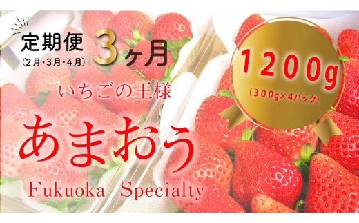 福岡県産 あまおう 合計3,360g (2月・3月・4月の3回 1,120g(280g×4パック))