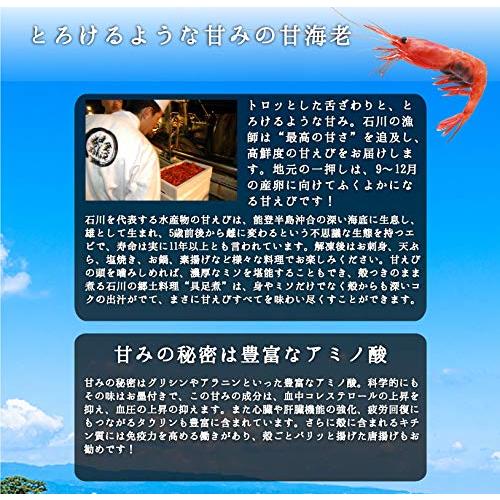 石川県産 金沢甘海老 500g（約25?30尾前後）甘エビ 甘えび お刺身でOK 金沢まいもん寿司厳選！