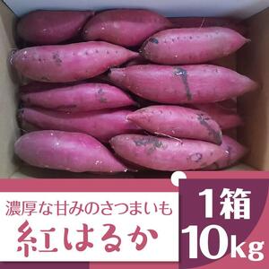 AK002　濃厚な甘みさつまいも 紅はるか10kg（茨城県共通返礼品・行方市産）