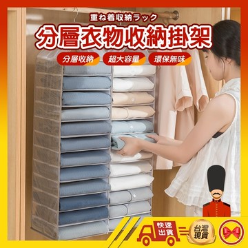 【💂‍♀️這家現貨馬上寄】衣櫥掛袋 衣櫃掛袋 衣櫥收納 收納掛袋 多層收納袋 雜物儲物掛袋 加厚掛袋 内衣褲收納盒