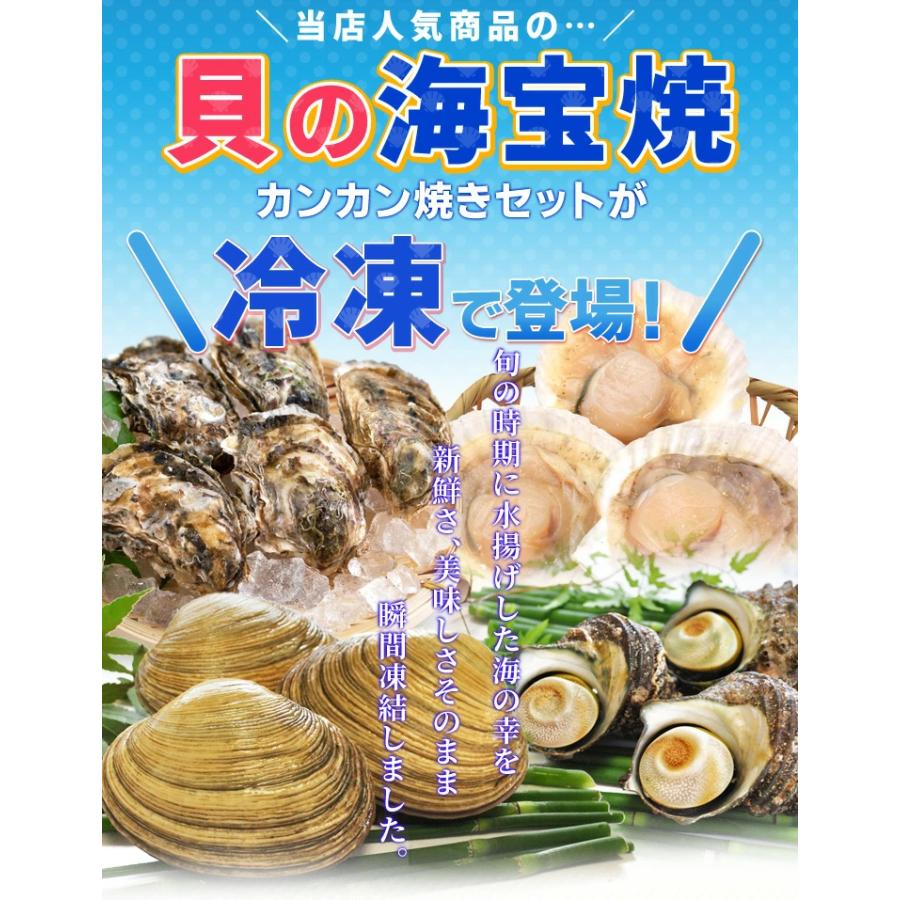 貝の海宝焼 牡蠣４個 さざえ２個 ホンビノス貝２個 ほたて片貝１０個 送料無料 冷凍貝セット（牡蠣ナイフ、片手用軍手付）カンカン焼き ミニ缶入 海鮮BBQ