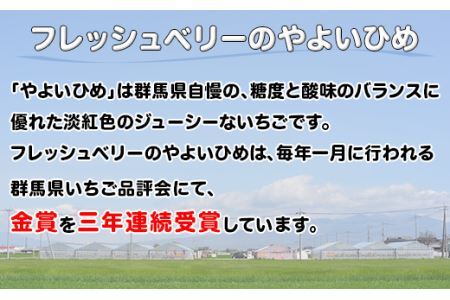 群馬県やよいひめ（いちご）約900g