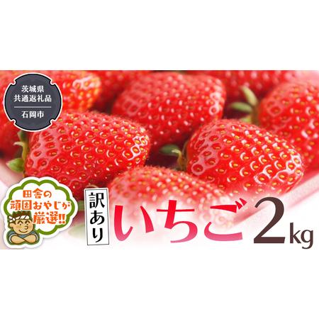 ふるさと納税 いちご 2kg （県内共通返礼品：石岡市産） いちご 苺 イチゴ 訳あり 茨城県つくばみらい市