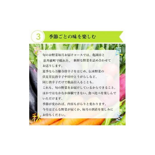 ふるさと納税 京都府 亀岡市 旬の京野菜　特選　毎月お届けスペシャルコース（全6回）※沖縄・離島・諸島へのお届け不可