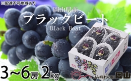 ブラックビート 約2kg 3房～6房 ぶどう 葡萄 岡山県産 2023年