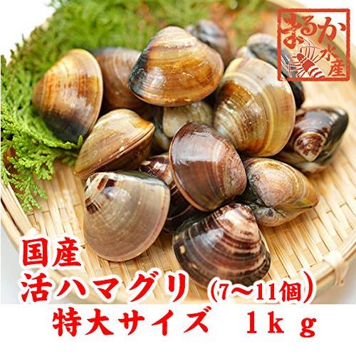 活はまぐり　特大サイズ 90ｇ〜140ｇ　7〜11個 　1ｋｇ分　国産　[はまぐり]