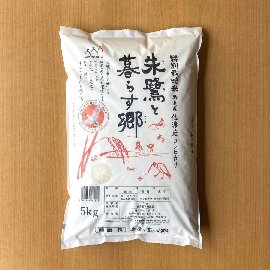 新米 米 お米 10kg コシヒカリ こしひかり 佐渡産 特別栽培米  5kg×2袋 本州送料無料 令和5年産