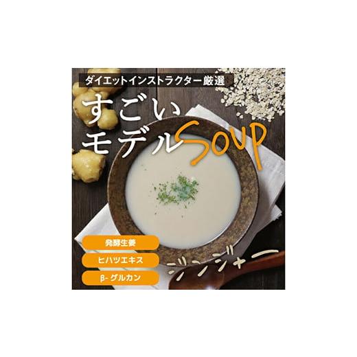 ふるさと納税 群馬県 富岡市 すごいモデルスープ30包