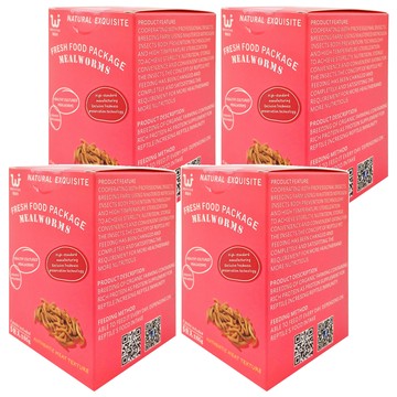 WEIYITER 維益特 台灣公司貨 麵包蟲鮮食包 5包  60g  4盒