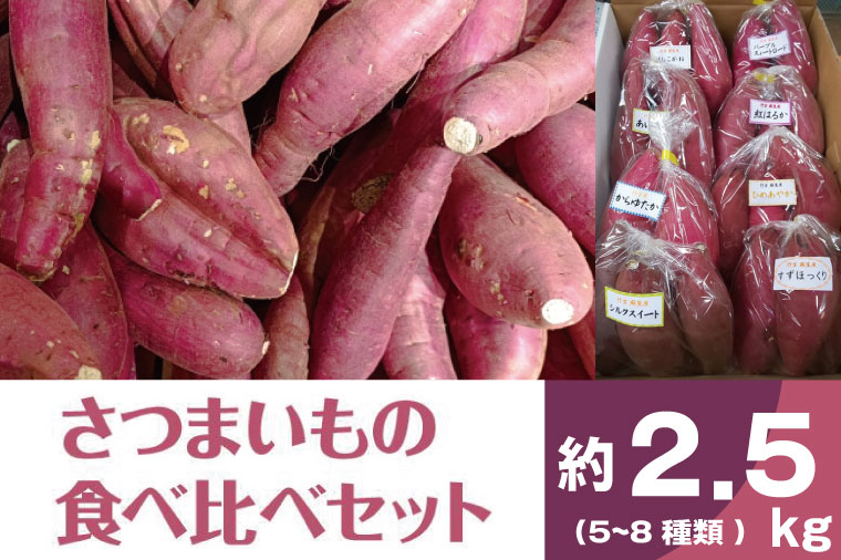 BZ-16　いろんなさつまいも食べ比べセット　約2.5kg（5～8品種）