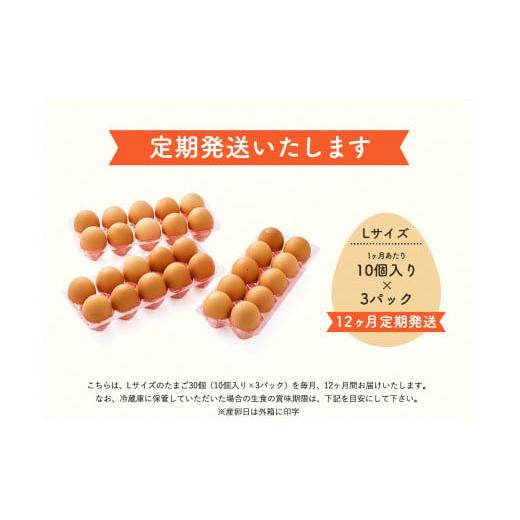 ふるさと納税 兵庫県 市川町 097AB01N.タズミの卵Ｌサイズ（30個×12ヶ月）