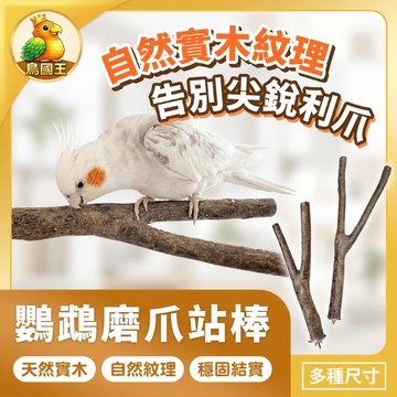 【鳥國王】鸚鵡磨爪站棒 Y型樹枝站棒 天然木頭站棒 掛籠式站棒 鸚鵡站棒 鳥站棒 鳥籠布景 鸚鵡用品 鳥用品