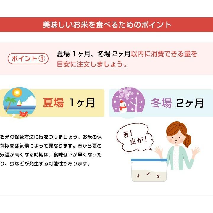 新米　米 お米 2kg 送料無料 夢しずく 佐賀県産　令和5年度 2kg