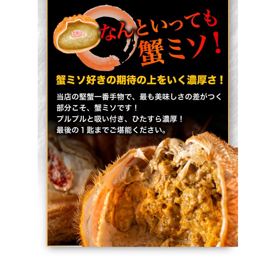 ポイント5倍 御歳暮 お歳暮 ギフト お正月 毛ガニ 北海道産 プレミアム毛蟹 超特大約1kg（3特・4特）1杯 送料無料 産地直送 Y凍