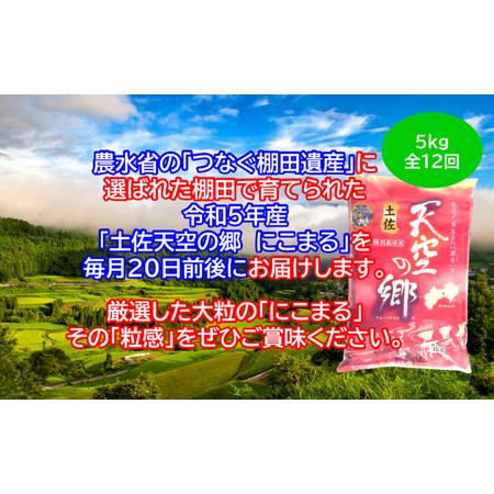 ふるさと納税 ★令和5年産★2010年・2016年 お米日本一コンテスト inしずおか 特別最高金賞受賞 土佐天空の郷　にこまる　5kg　毎月お届け全12回 高知県本山町