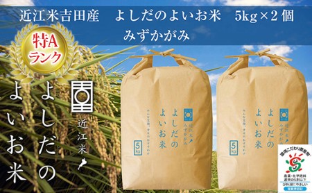 令和5年産新米　よしだのよいお米 近江米みずかがみ5kg×2