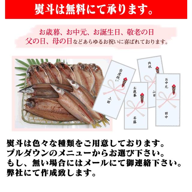 お歳暮 ギフト 干物 お取り寄せ グルメ プレゼント 贈答品  福袋 バーベキュー  おまかせ干物セット20000円  誕生日 送料無料 魚 食品