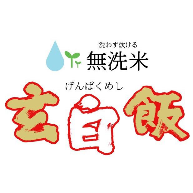 ポイント5倍 無洗米 玄白飯 2合(300g)×10袋 ひとめぼれ 宅配便送料込 令和5年産 (玄米と白米を1:1でブレンド) 米 食品（SL）