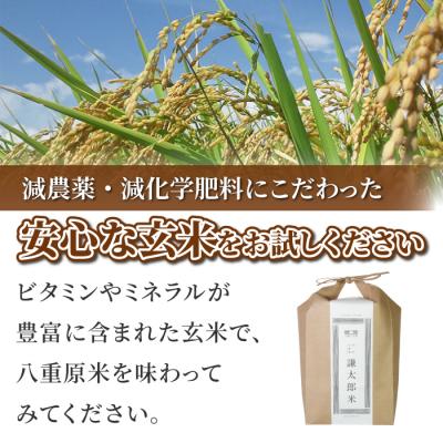 ふるさと納税 東御市 八重原産特別栽培米(栽培期間中 減農薬・減化学肥料栽培)コシヒカリ玄米10kg