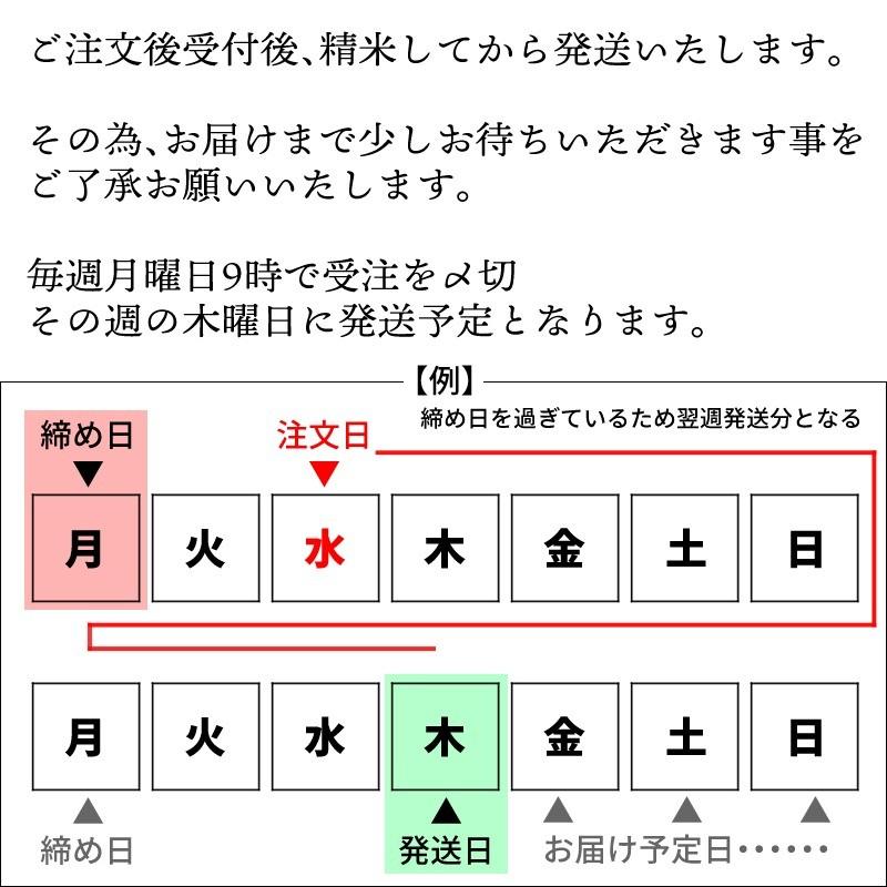 龍の瞳 令和5年産 新米 9分づき精米 2kg 長野県産[宅配便] 国産ブランド米 岐阜のブランド米 いのちの壱 高級米