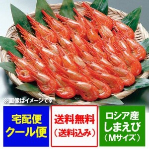 しまえび 送料無料 シマエビ ボイル エビ しまエビ 500g Mサイズ 25尾前後 えび 海老 エビ