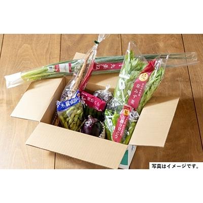 ふるさと納税 京都市 季節の京野菜セット