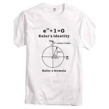 歐拉公式定理數學家復變三角函數純棉T恤 學霸青少年勵志學生短袖