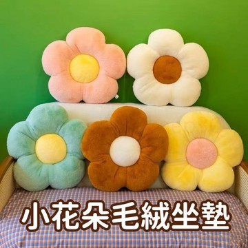巨邦📣台灣現貨🚀超厚實花朵抱枕坐墊 花朵靠墊 花朵椅墊 抱枕 椅墊 座墊 午睡枕 靠墊 地墊 椅子坐墊 毛絨抱枕彩色抱枕