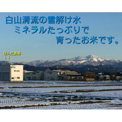 ふるさと納税 能美市 天日干有機米こしひかり「天地の誉」白米5kg