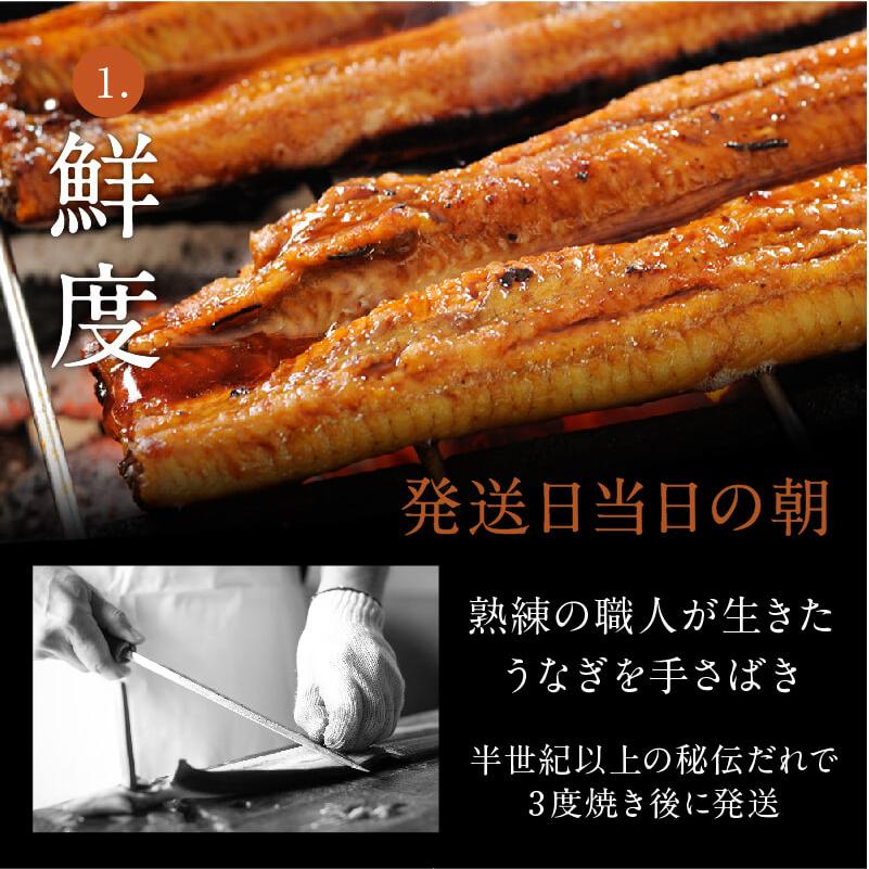 お中元 プレゼント うなぎ 国産 特大 朝じめ 特選 鰻 蒲焼き 1尾 送料無料 ギフト 60代 70代 80代