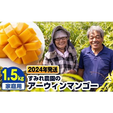 ふるさと納税 すみれ農園のアーウィンマンゴー家庭用1.5kg 沖縄県南風原町