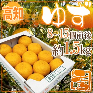 高知産 ”ゆず” 秀品 8～15玉 約1.5kg 送料無料