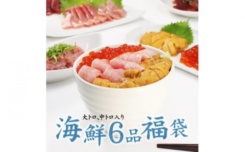 豪華海鮮6品福袋　本マグロ大トロ＆中トロ、ウニ、イクラ、ネギトロ、づけ！海鮮丼や手巻き寿しに