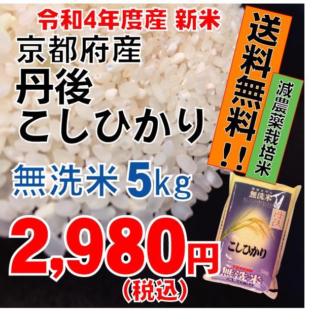 無洗米　京都府産 減農薬 丹後こしひかり5ｋｇ　コシヒカリ　お米　2022年産　送料無料　令和4年度産　京都米