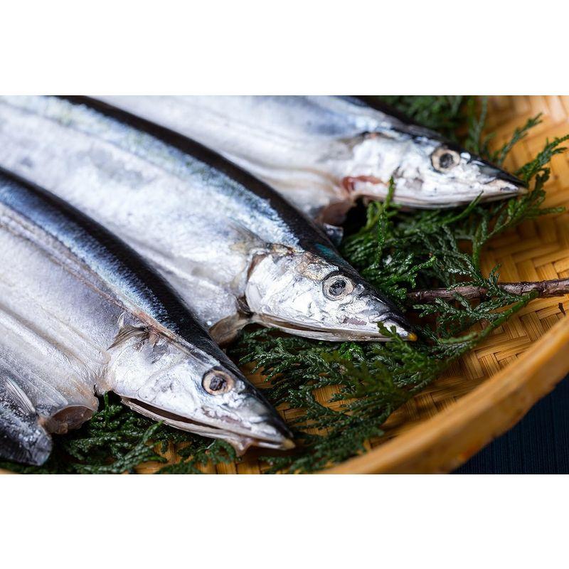 あったかいご飯に合います朝食の干物（アジ、サンマ、紅鮭）セット