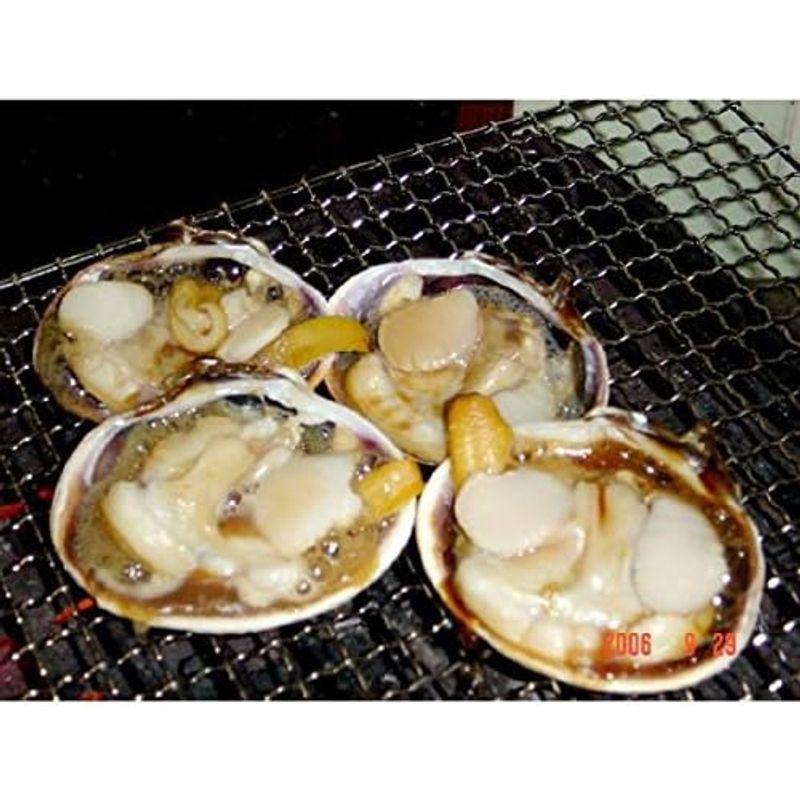 伊勢海老が美味い豪華なＢＢＱセット（伊勢海老×2尾サザエ8個大アサリ8個）魚介類