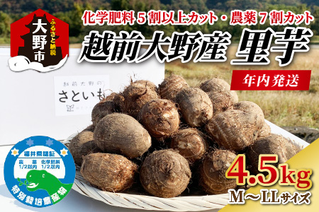 越前大野産 里芋 4.5kg 化学肥料5割以上カット・農薬7割カットの特別栽培 農家直送 さといも [A-008001]