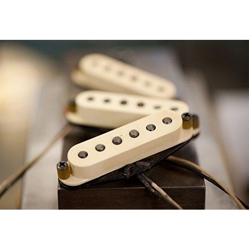 Seymour Duncan Antiquity Texas Hot Strat Pickup Set Middle, Neck, Bridge with True Tune Tuner, Picks, Tool and Keychain 11028-01 (セイモア・ダンカ