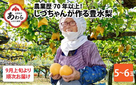 しづちゃんが作る 豊水梨 5～6玉入（2.5～3kg）農業歴70年以上！  なし 果物 旬 フルーツ 甘い ジューシー 果汁 くだもの シャキシャキ 人気 完熟 もぎたて みずみずしい 越前梨 送料無料 福井 あわら市 ※2024年9月上旬より順次お届け