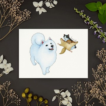 【貓瘋子】明信片(53)