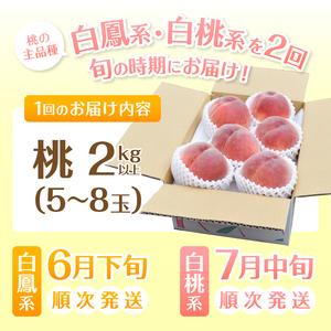 ふるさと納税 完熟桃食べ比べ 2kg以上×2回送り（HK）C1-442 山梨県甲州市