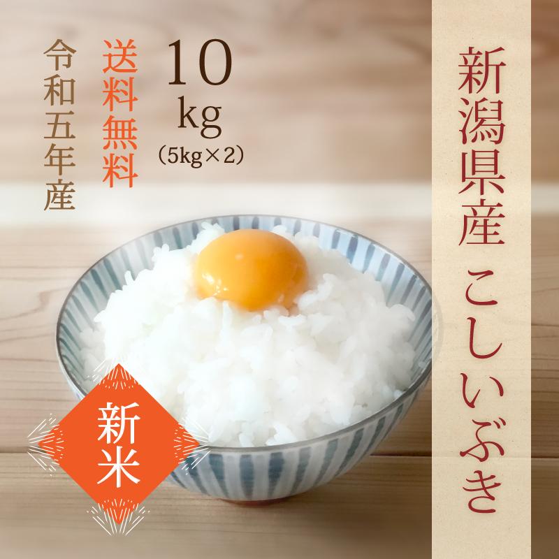 新潟県産こしいぶき 新米 白米 令和5年産 10kg 精米