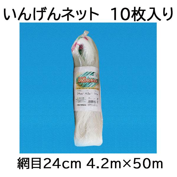 (徳用10枚セット) 東京戸張 インゲンネット 網目24cm 4.2ｍ×50ｍ IB4250 (白緑) いんげんネット