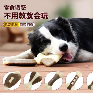 宜特狗狗磨牙獎勵棒咬膠玩具耐咬中大型犬獨處解悶自嗨寵物用品