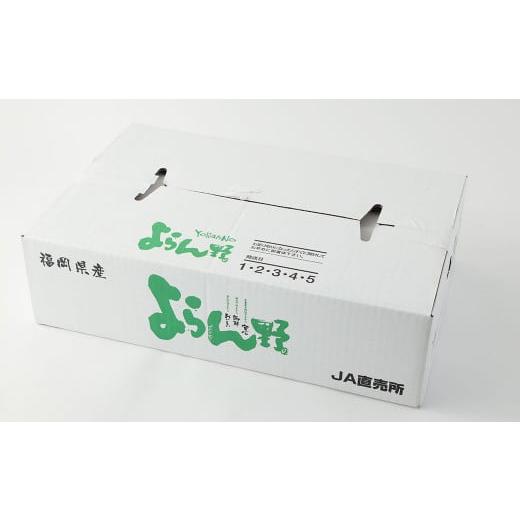 ふるさと納税 福岡県 筑後市 産直 野菜 詰め合わせ BOX 福岡県産 お野菜 と 米 の セット