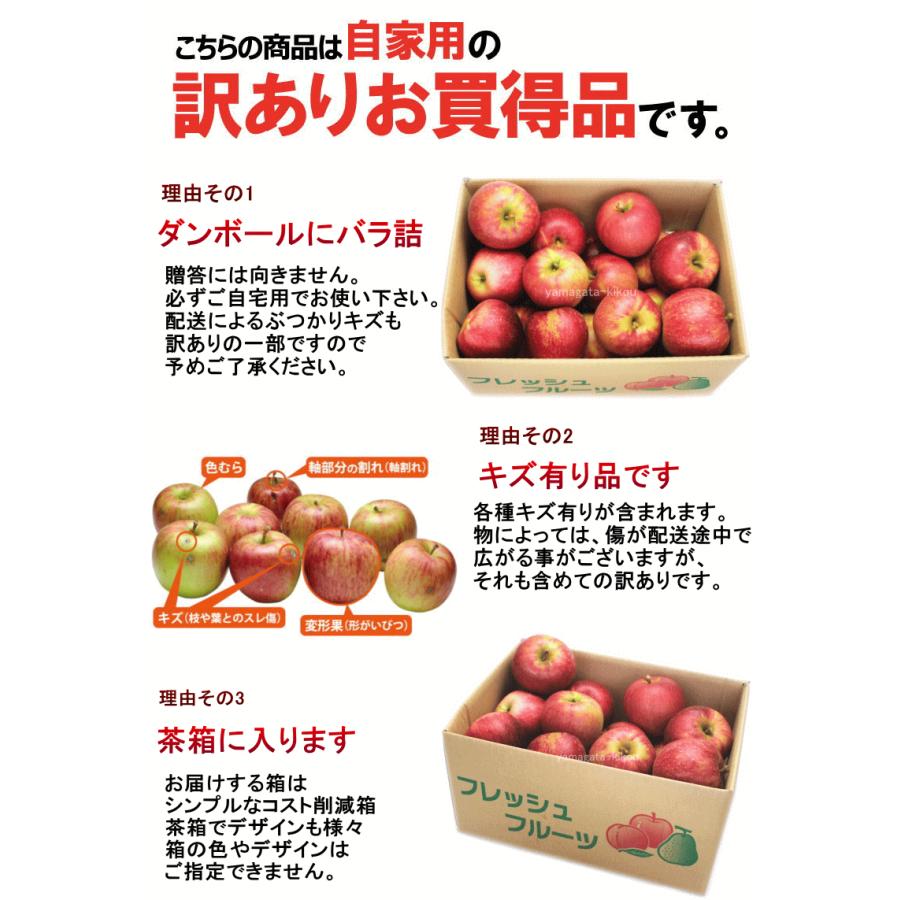 りんご 訳あり サンふじ 山形県産 訳ありサンふじ 10kg 生食 ジュース 予約 11月下旬頃から発送 送料込