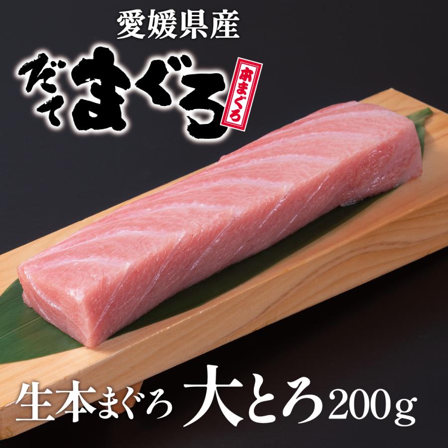 生本マグロ（だてまぐろ）大とろ200ｇ柵（さく） 鮪 伊達マグロ 海鮮 刺身 ギフト 国産 冷蔵 チルド クロマグロ