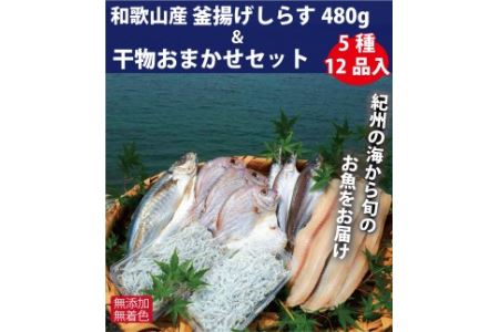 和歌山産 釜揚げしらす480g＆干物詰め合わせセット 5種12品入り