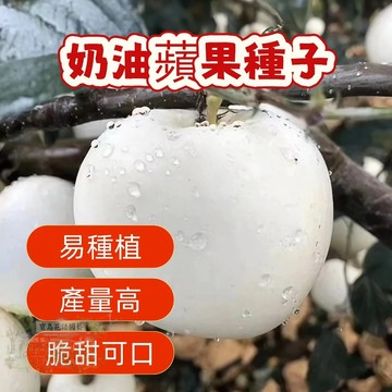 🍎奶油蘋果種子 新蘋果種子 紅肉蘋果種子 蛇果種子 青蘋果種籽 四季營養水果種子 蘋果 可盆栽 四季播種 高成活